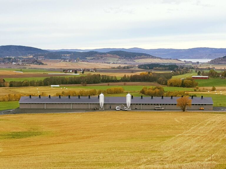 Oppstart hos Trøndelag Kyllingoppdrett AS på Skogn Oppstart hos Trøndelag Kyllingoppdrett AS på Skogn