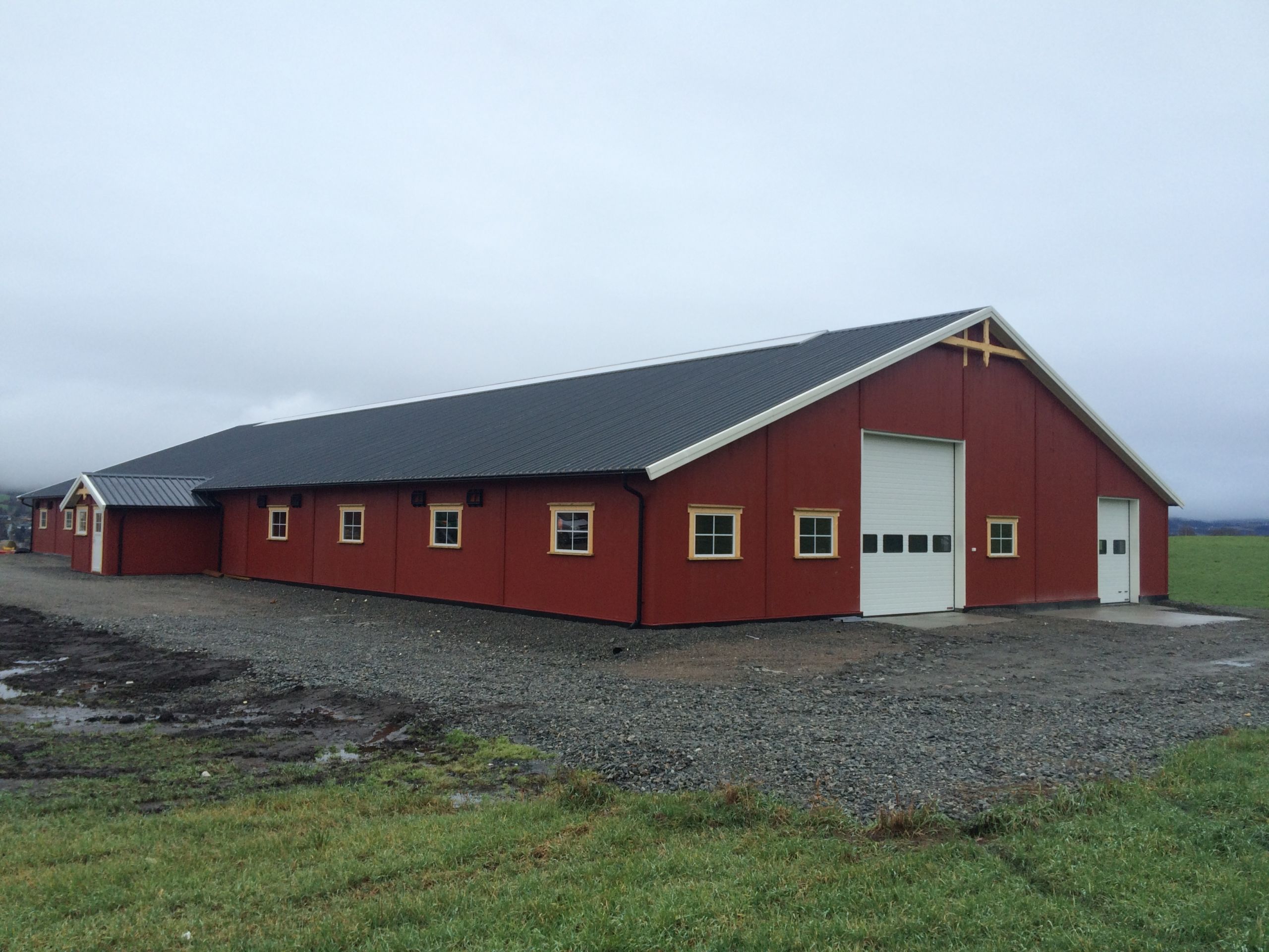 Nytt ammekufjøs hos Torstein Hvamstad