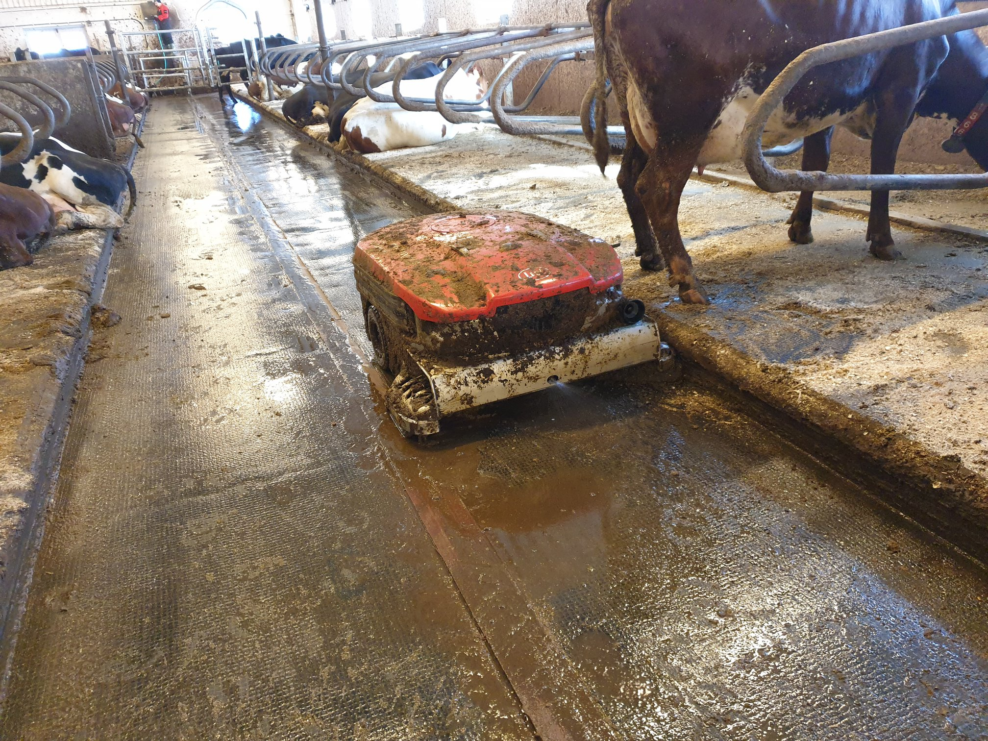 Lely Collector til Gjerdrum