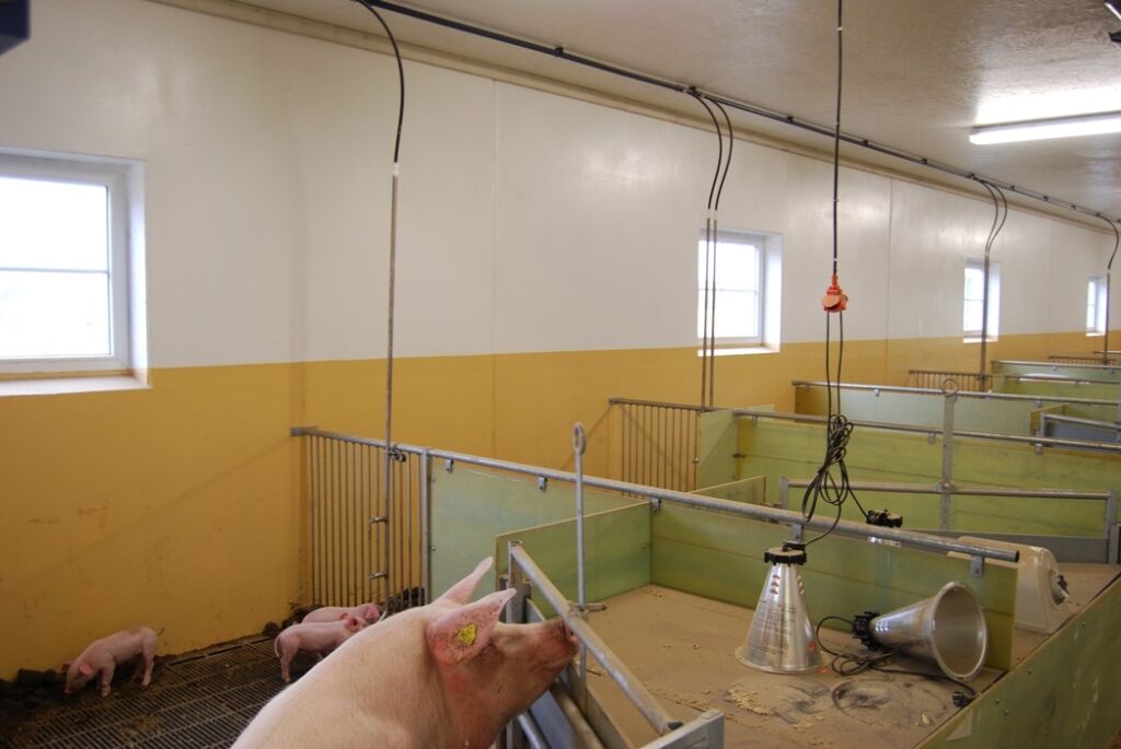 Epoxy FS EW60 veggmaling