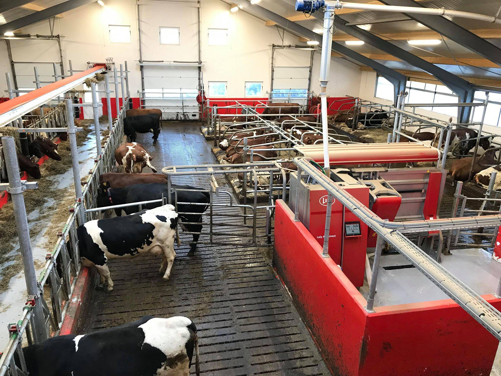 Robotfjøs på Vigrestad i Hå