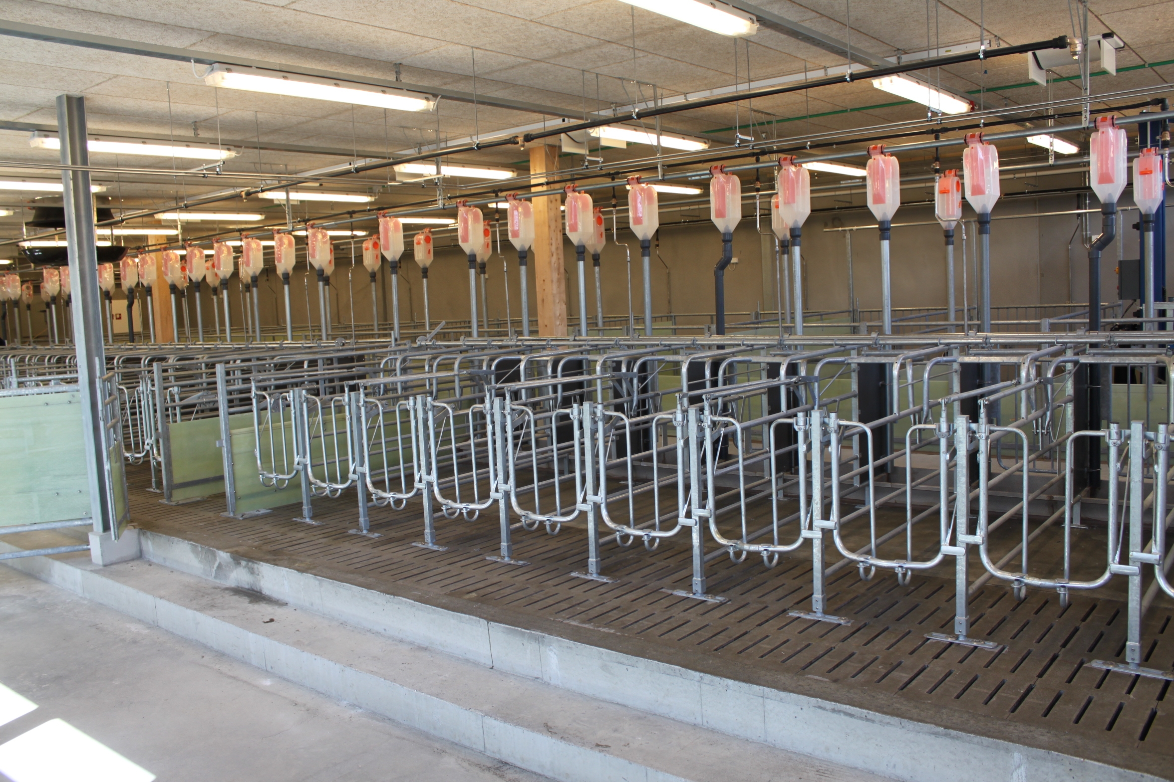 Nytt grisehus på Senter for husdyrforsøk – UMB på Ås