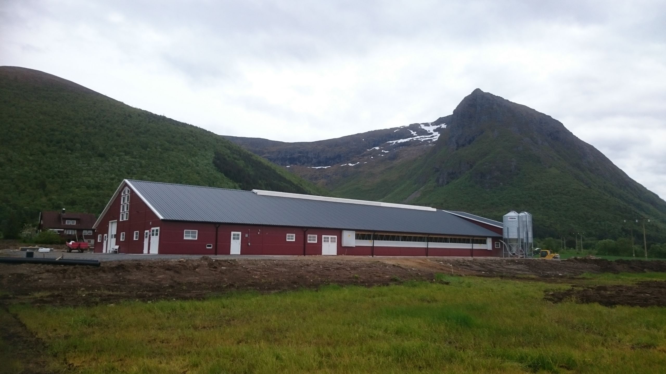 Vi leverer nytt melkekufjøs på Hustad