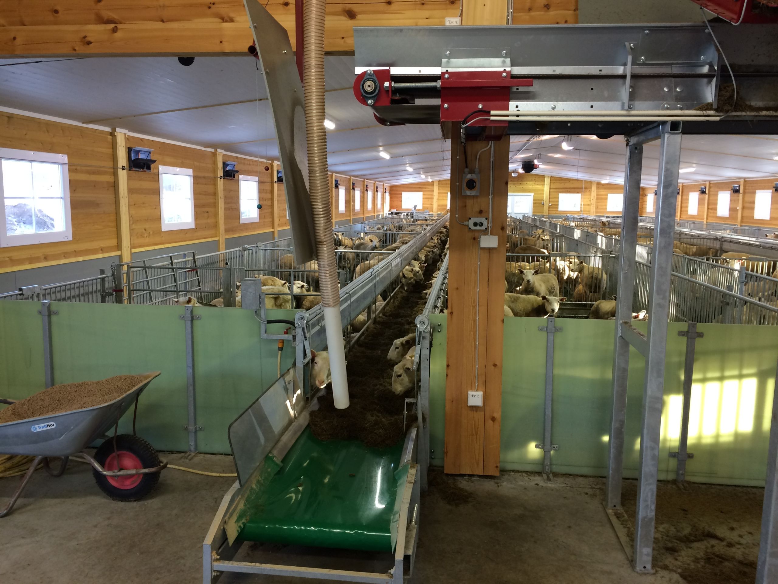 Nytt sauefjøs til 400 sau