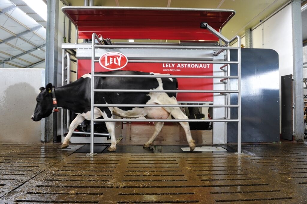 Melkerobot Lely Astronaut A4 Melkerobot Lely Astronaut A4