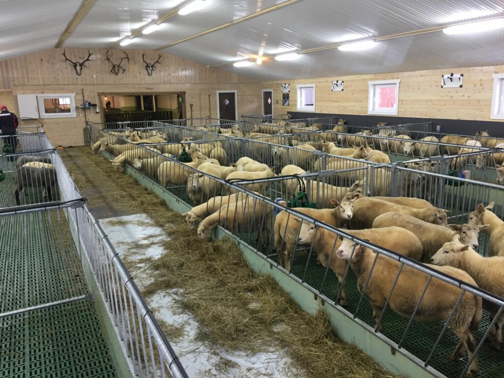 Påbygg til eksisterende fjøs