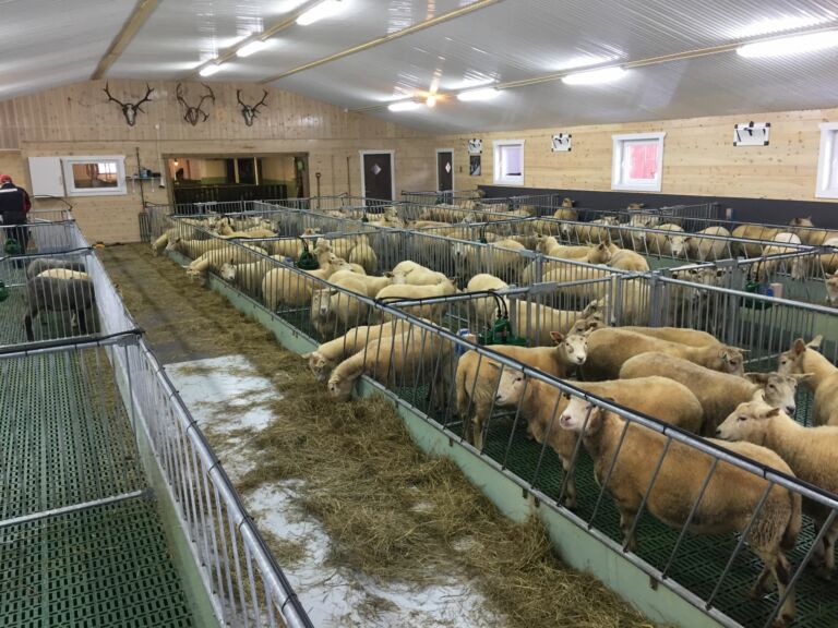 Påbygg til eksisterende fjøs