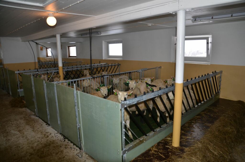 Ombygd kufjøs til sau