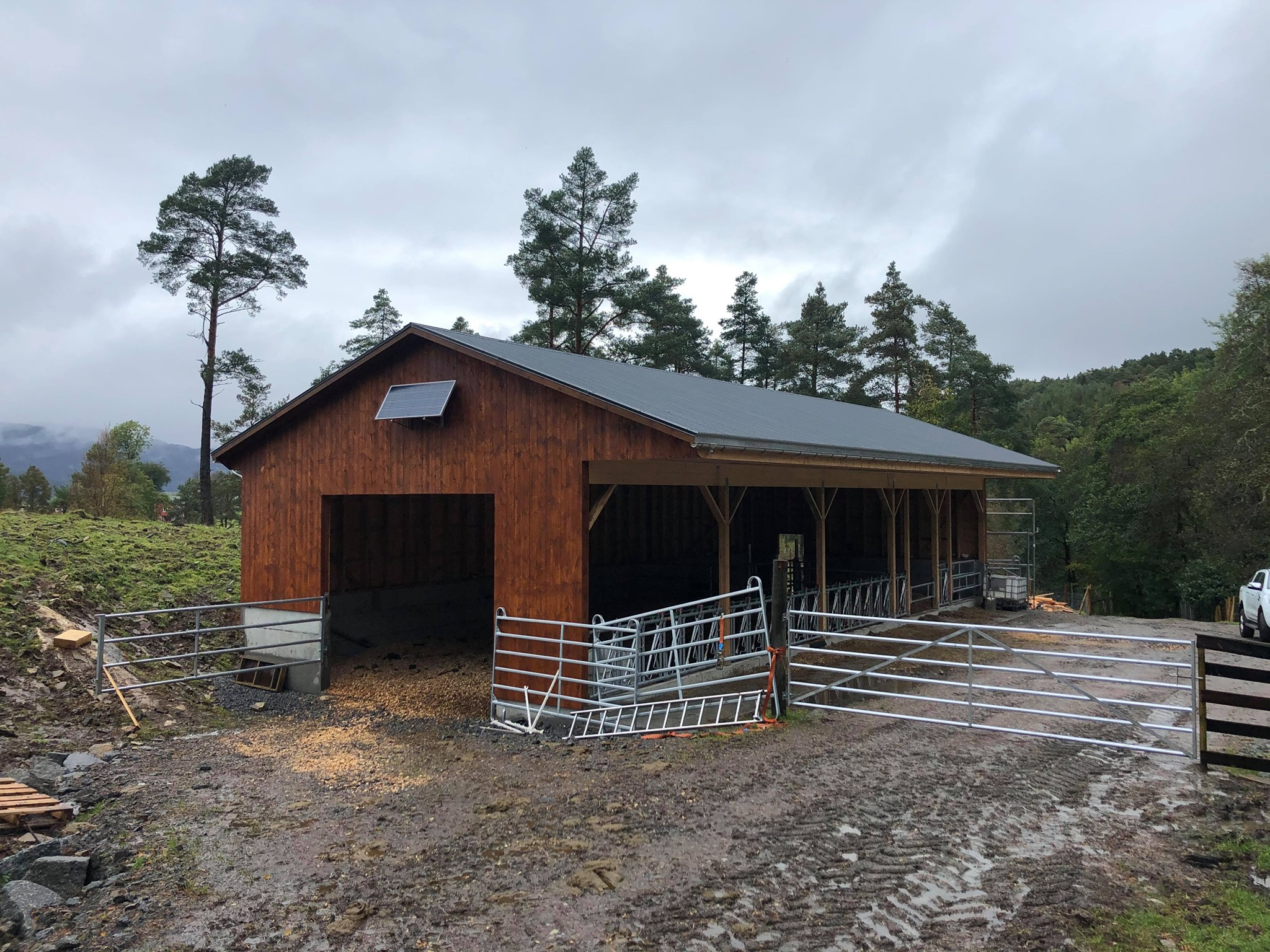 Nytt bygg til Hereford-besetning