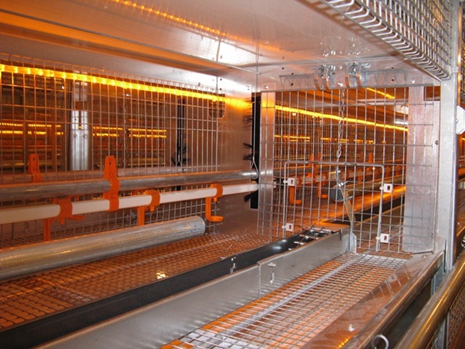 Natura Rearing aviarsystem