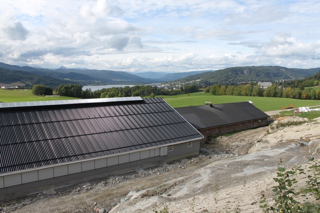 Melkekufjøs hos Ole Holta