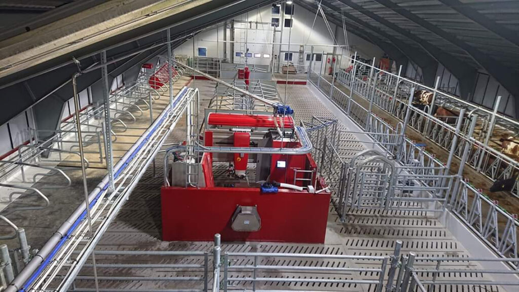 Lely A5 mjølkerobot på Åland i Stryn Lely A5 mjølkerobot på Åland i Stryn