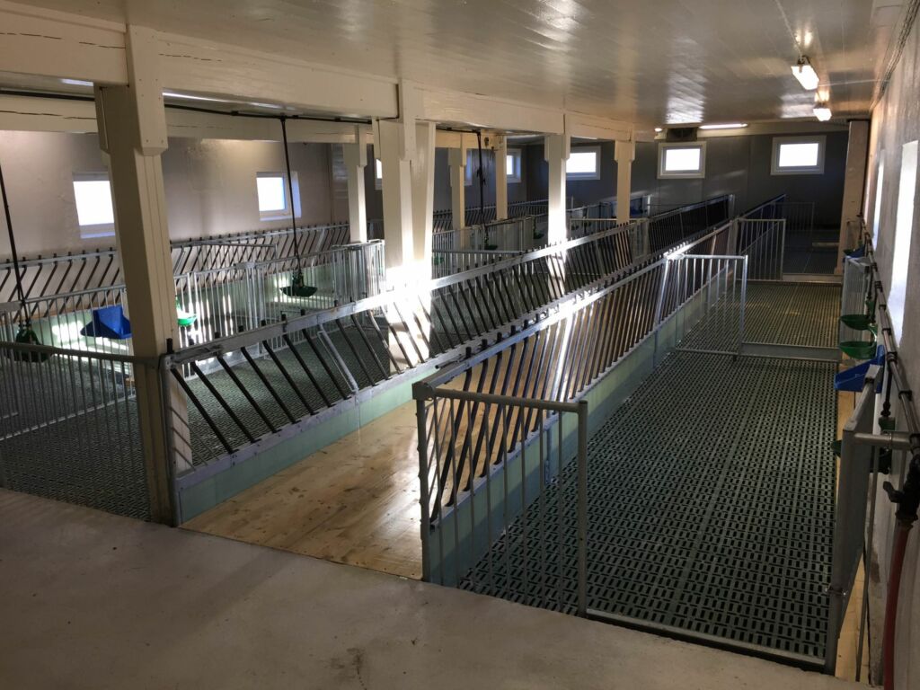 Renovert og ominnredet kufjøs