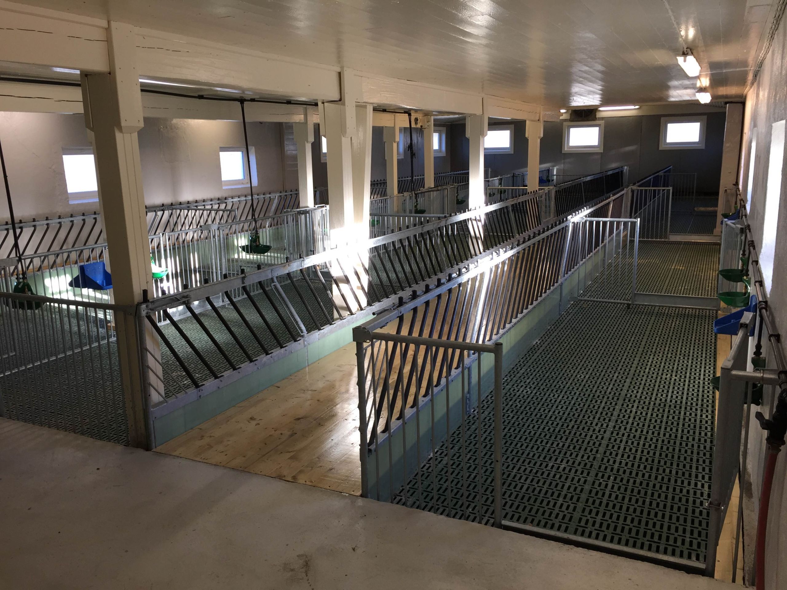 Renovert og ominnredet kufjøs