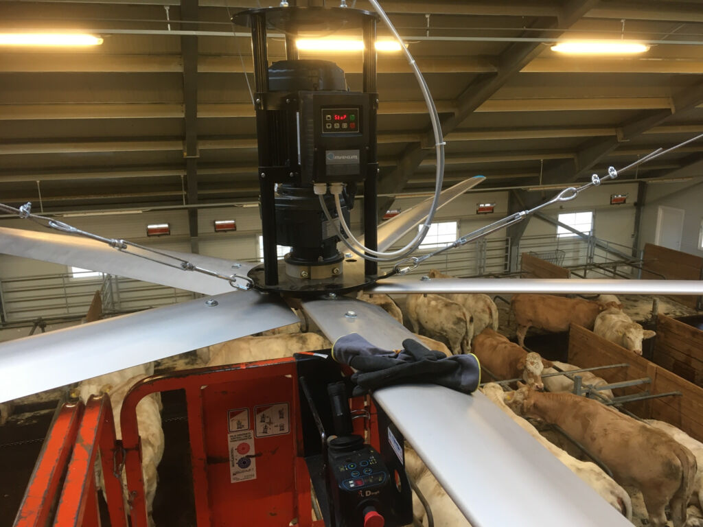 Bigairfan fra Secco Bigairfan fra Secco