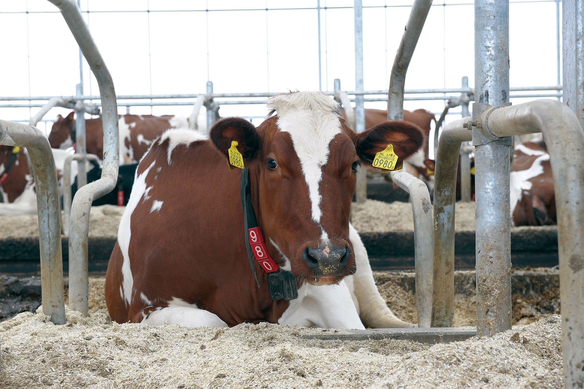 404 – Obs: vi har fått ny nettside