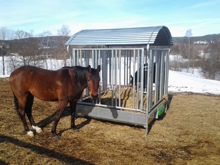 Utefôringshekk til hest