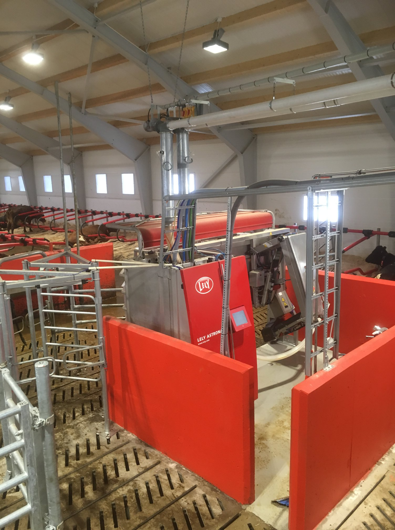 Ombygd/nybygd melkekufjøs