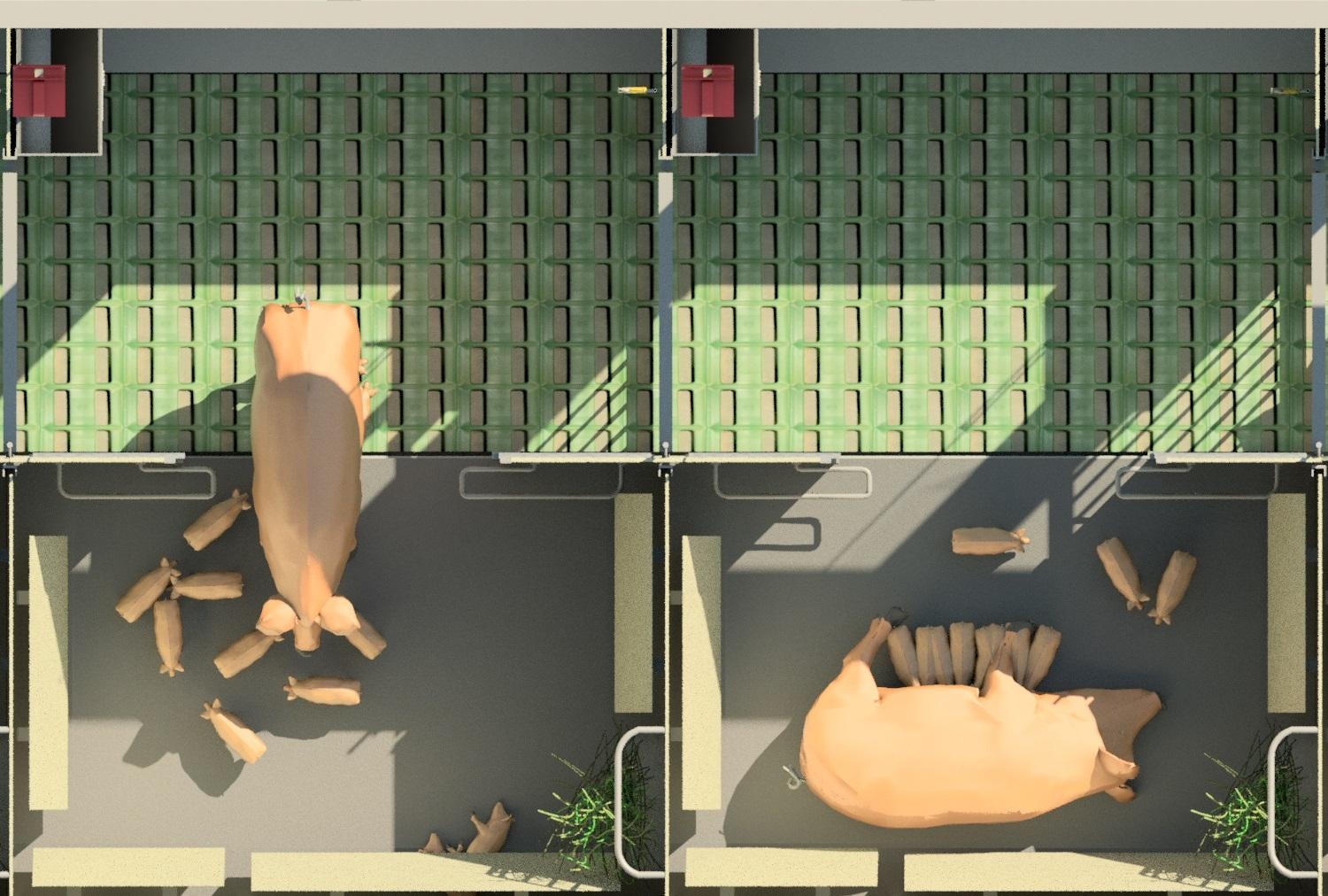 Comfort fødebinge / Comfort farrowing pen