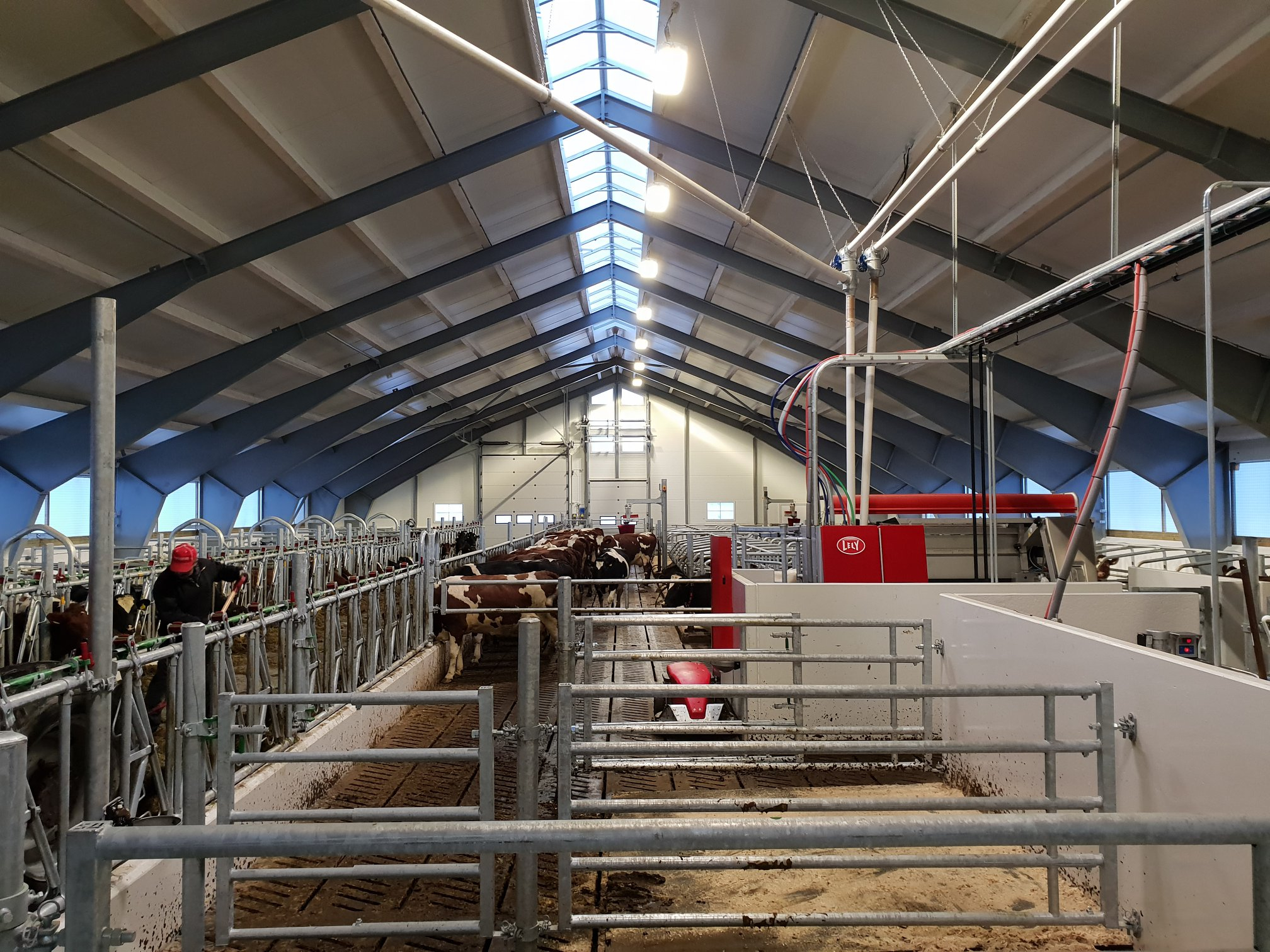 Nytt fjøs på Ytterøya