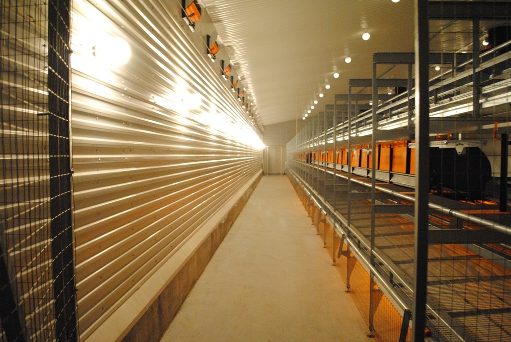 Nytt konsesjonshus for verpehøner