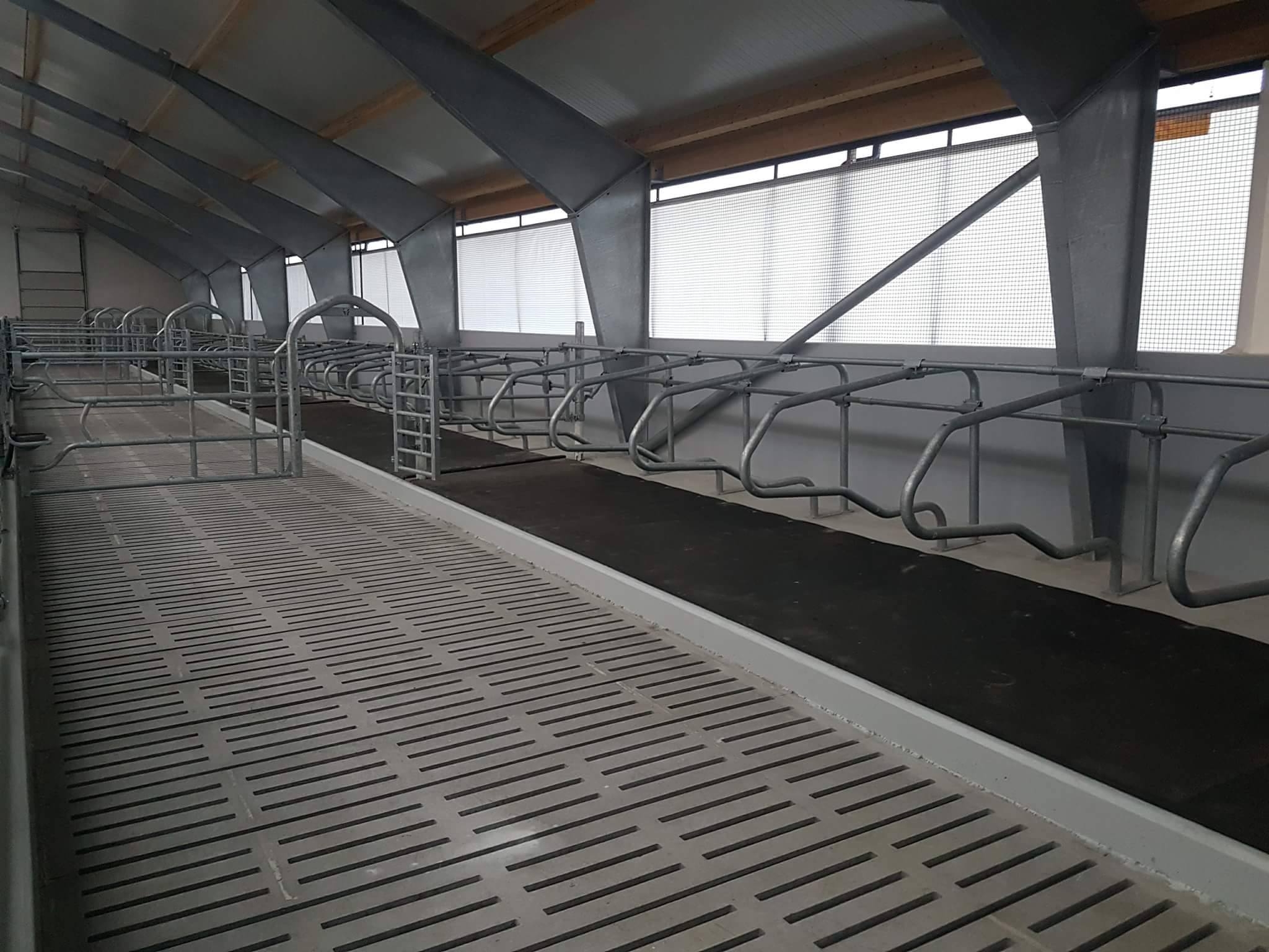 Nytt ammekufjøs på Orre