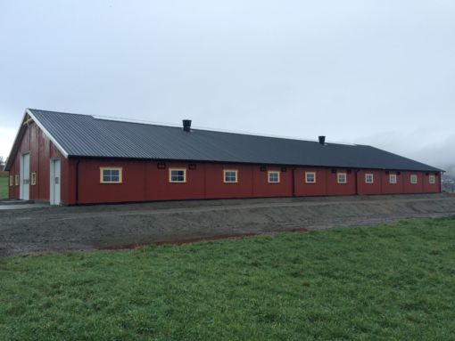 fe392f78a62c6fc460cf8c2a182b395f.jpg Nytt ammekufjøs på Jaren