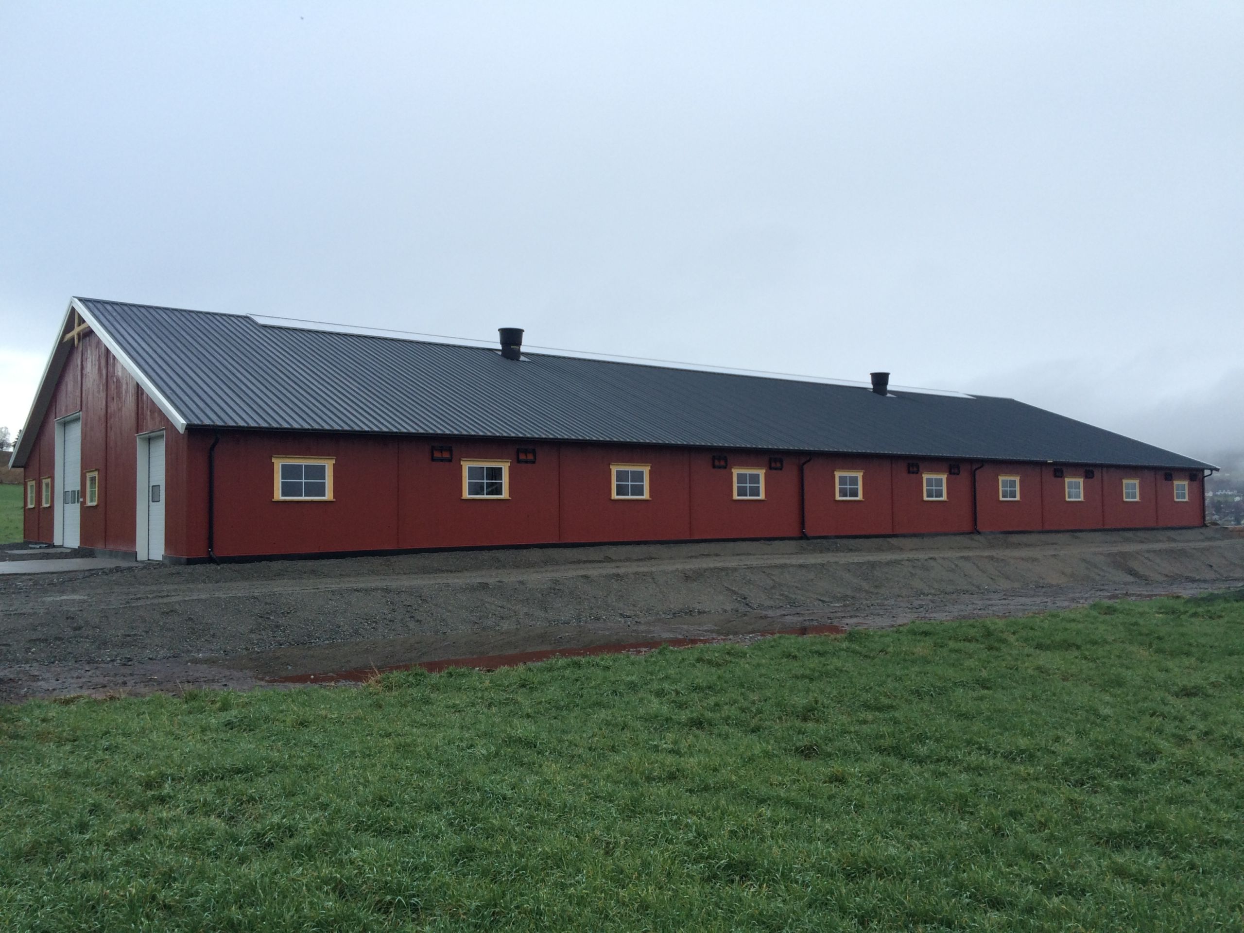 Nytt ammekufjøs på Jaren