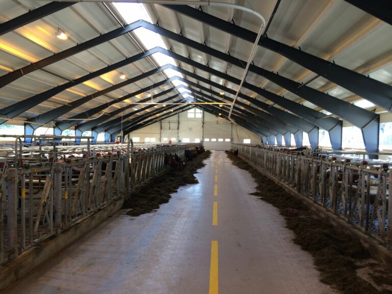 Nytt melkekufjøs på Hell