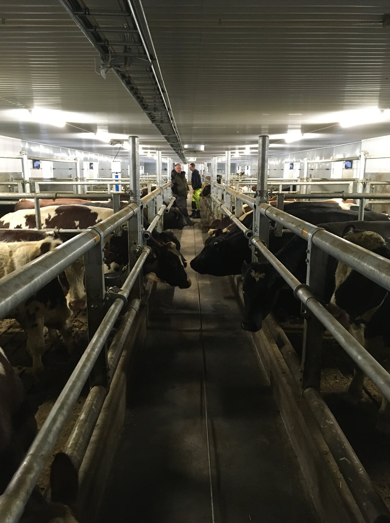 Ombygging til oppfôring