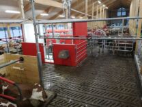 LELY Astronaut A5 i nye Vestland fylke