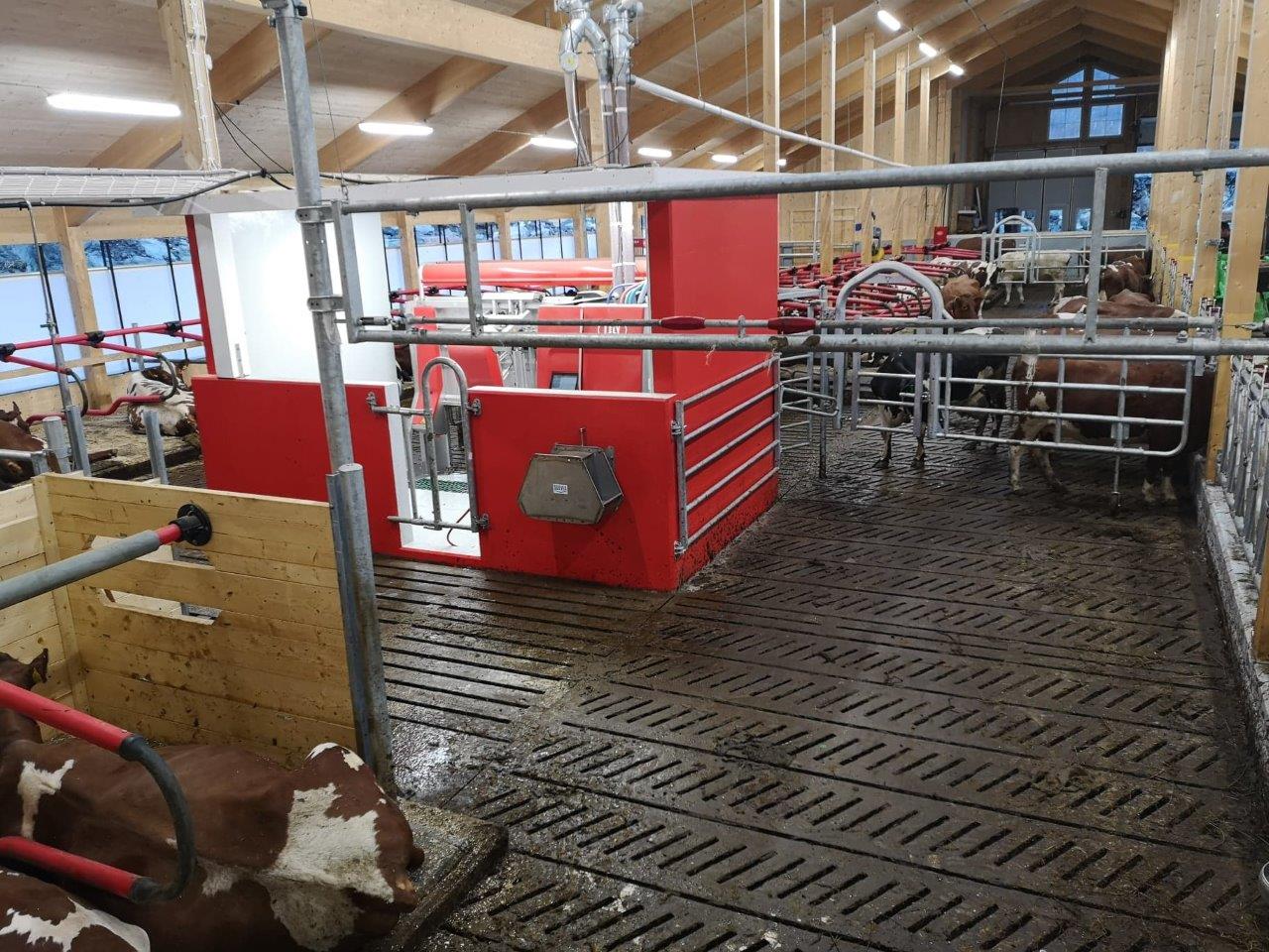 LELY Astronaut A5 i nye Vestland fylke