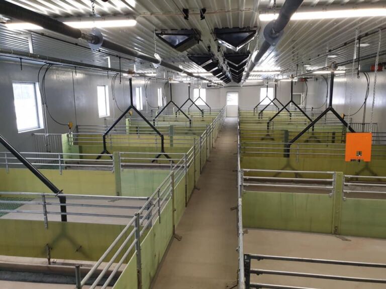 Nytt grisehus på Snåsa