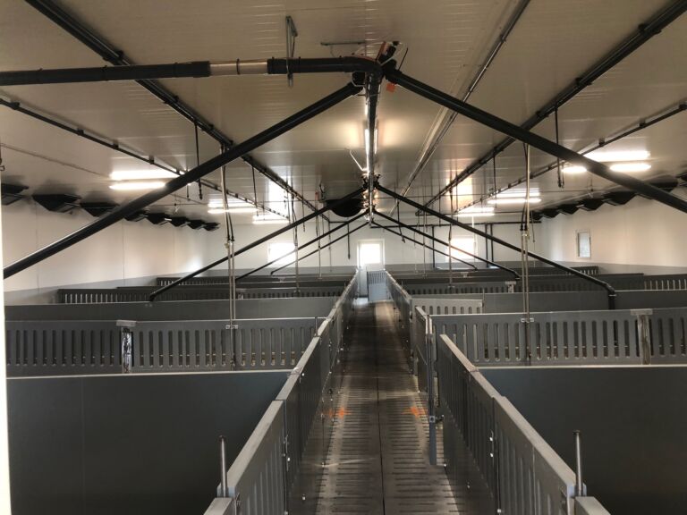 Nytt fjøs for slaktegris