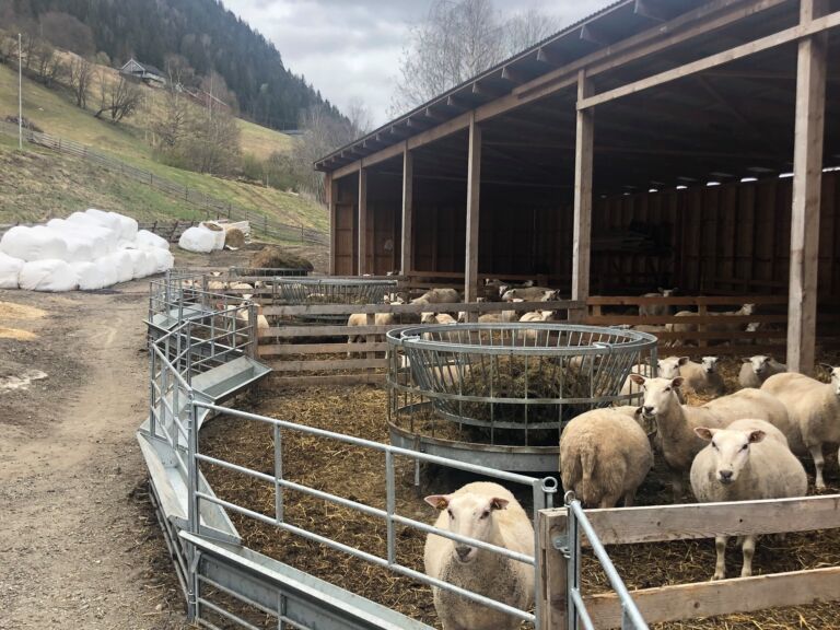 Med fôrhekker fra Fjøssystemer