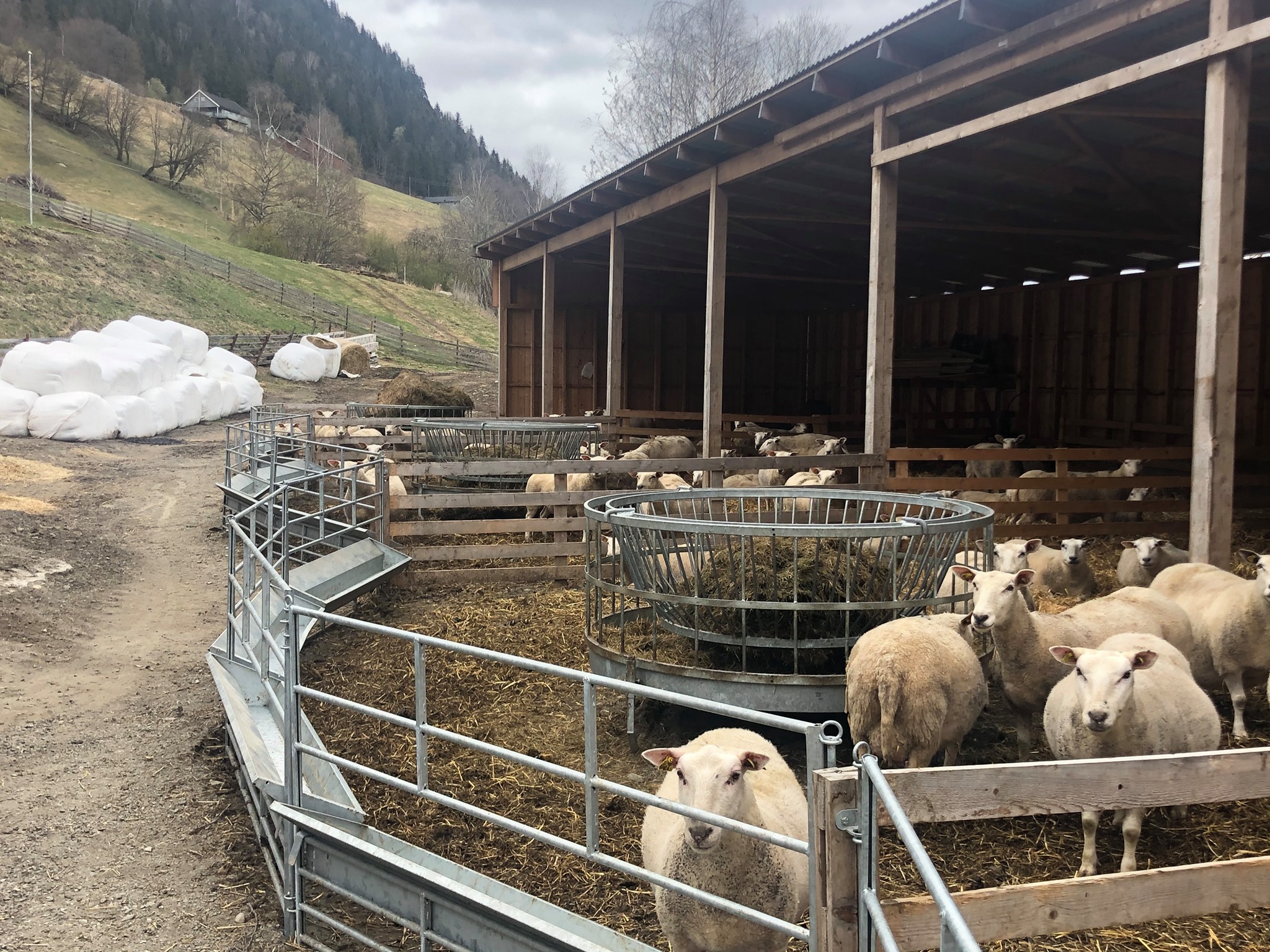 Med fôrhekker fra Fjøssystemer