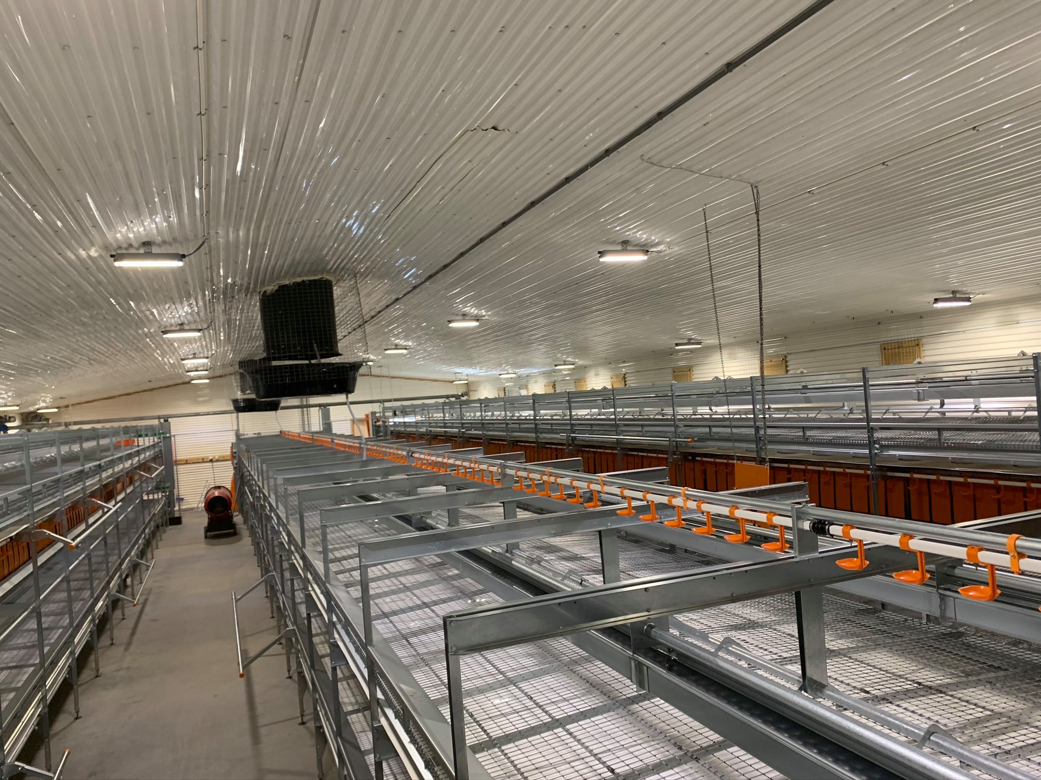 Ombygging fra miljøbur til aviar