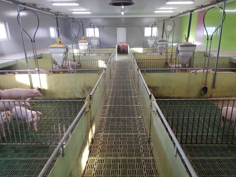 I-Mek i 2 nye smågrisavdelinger