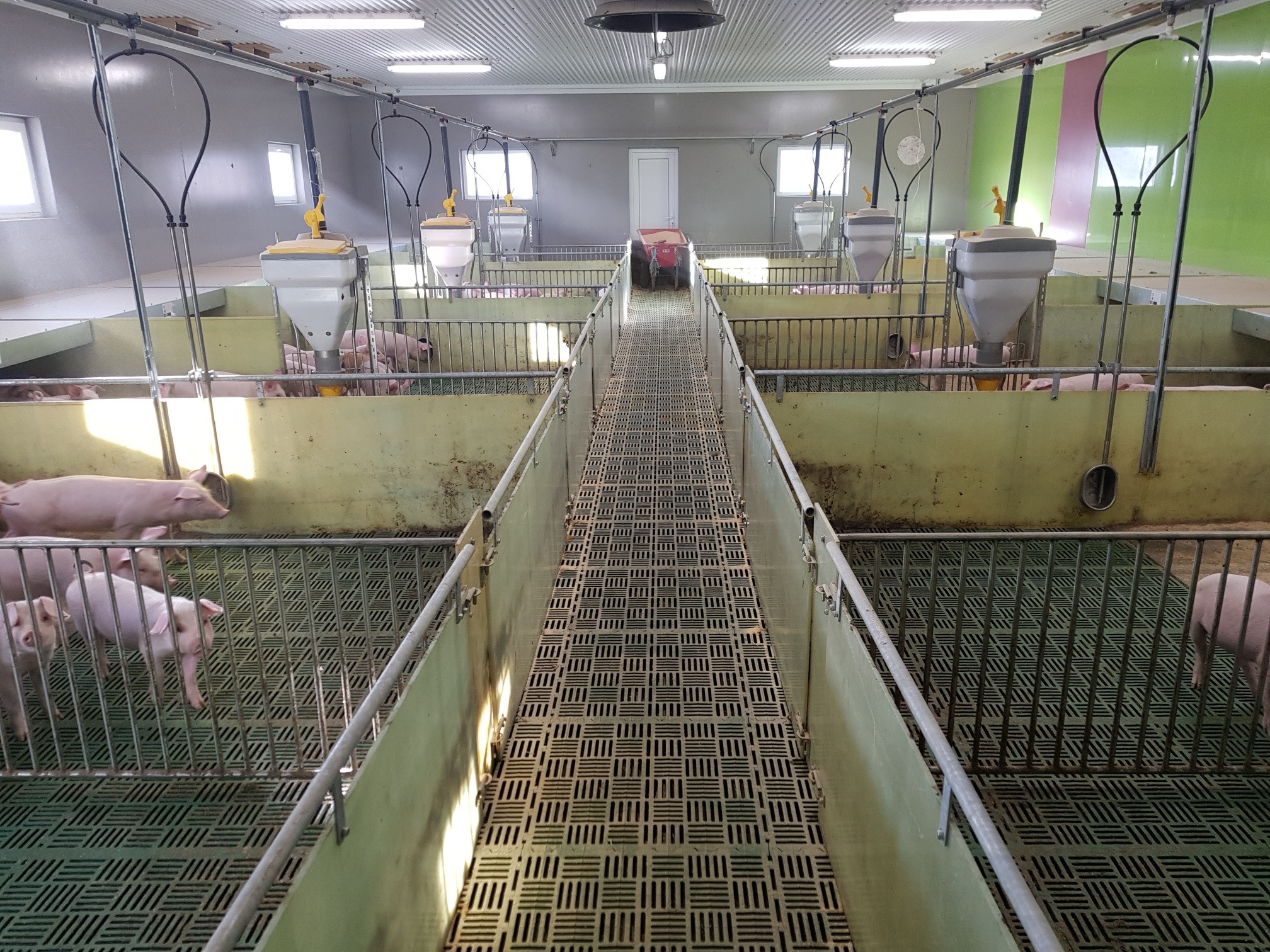 I-Mek i 2 nye smågrisavdelinger