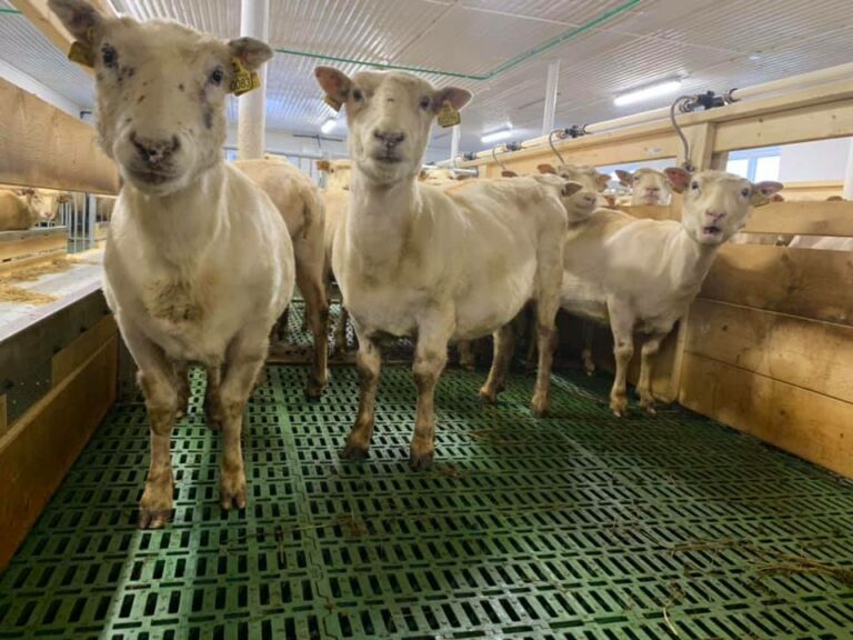 Alt fra det «enkle» til nøkkelferdige løsninger