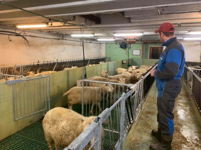 Omgjøring av sauehus