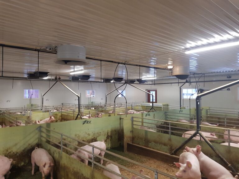 Komplett i-mek til nytt slaktegrishus