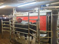 Lely Astronaut A5 melkeroboter