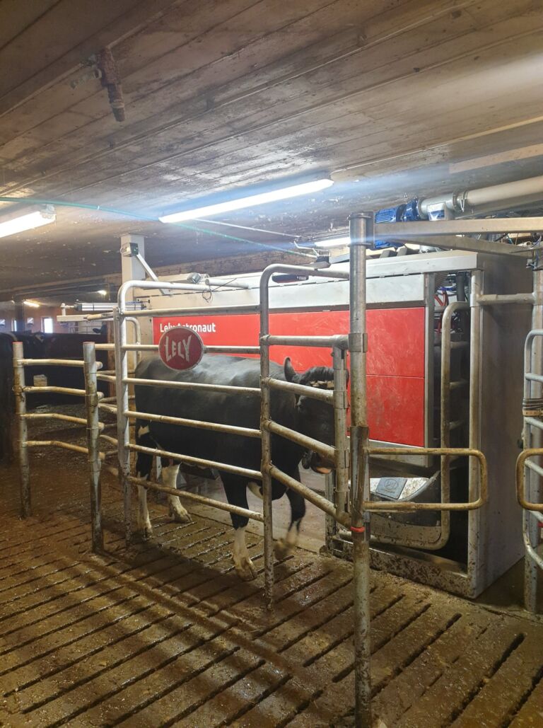 Lely Astronaut A5 melkeroboter Lely Astronaut A5 melkeroboter
