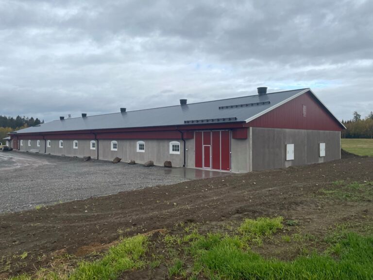 Nytt bygg for slaktekylling Nytt bygg for slaktekylling