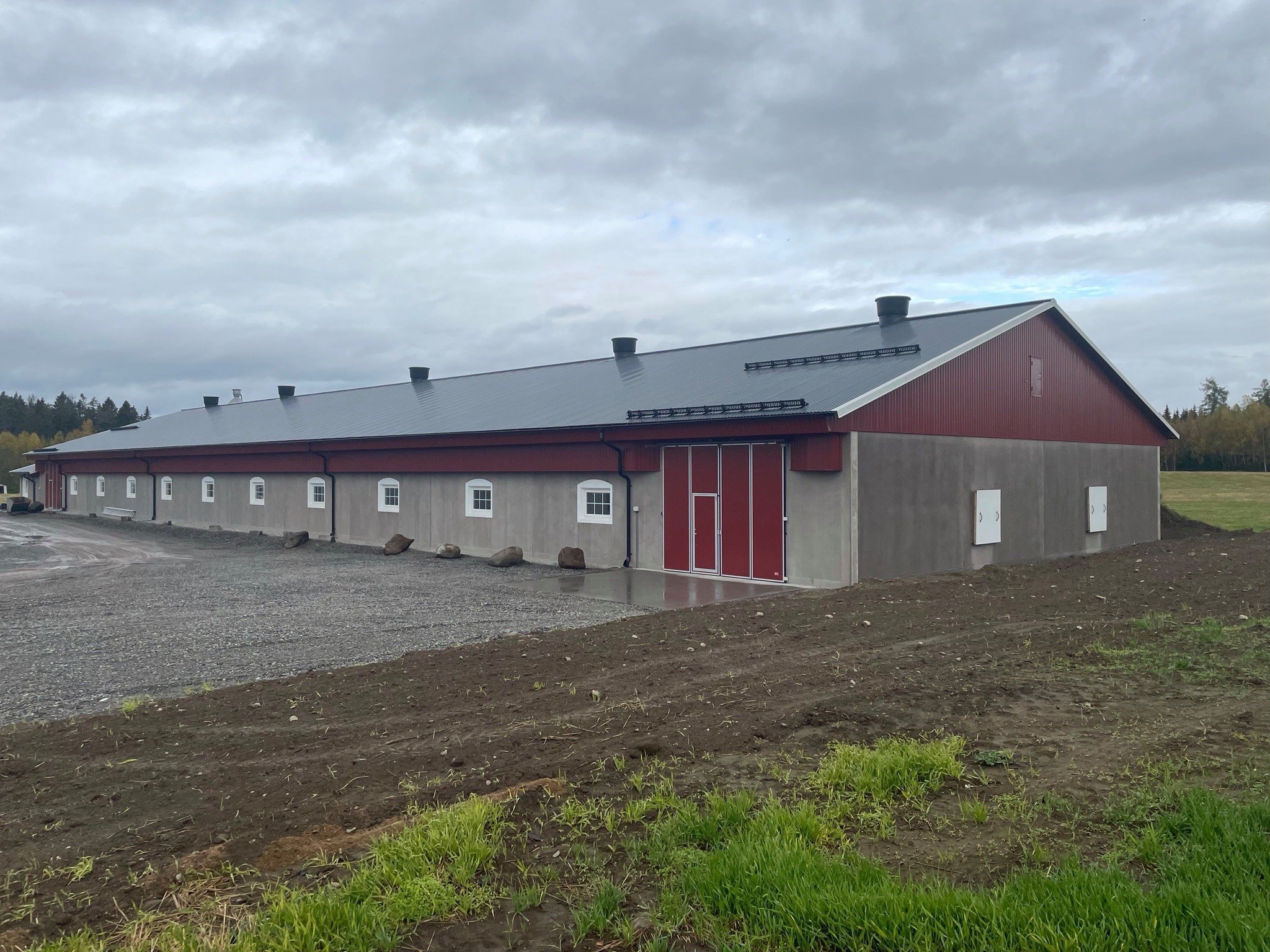 Nytt bygg for slaktekylling