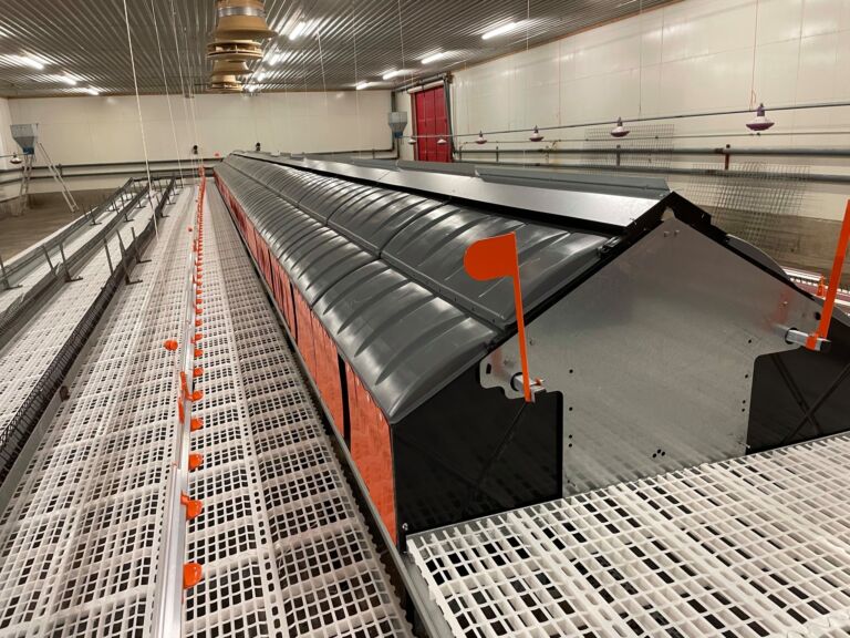 Skiftet innredning hos rugeeggprodusemt Skiftet innredning hos rugeeggprodusemt