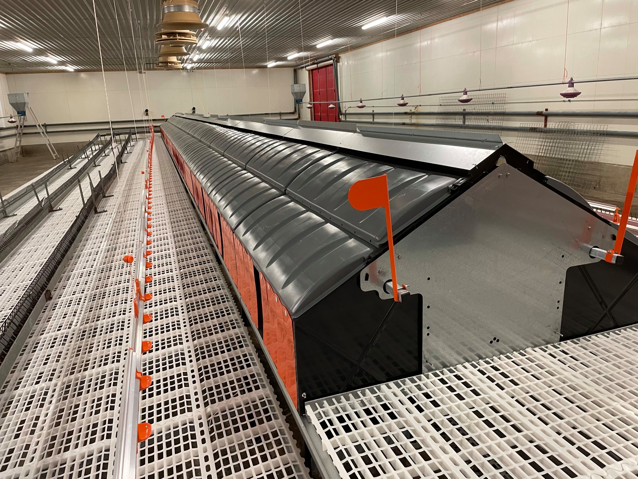 Skiftet innredning hos rugeeggprodusemt