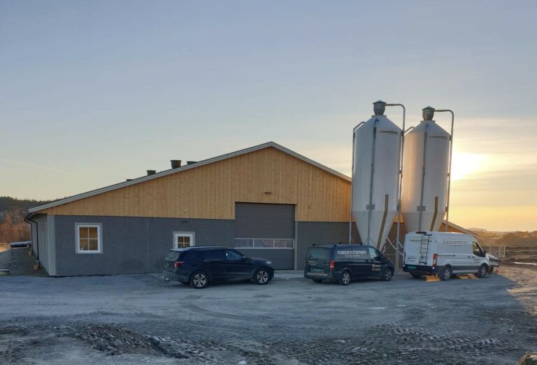 Nytt slaktegrishus i Steinkjer