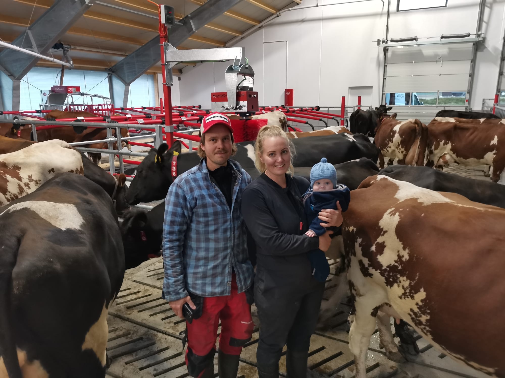 Nytt flott melkekufjøs